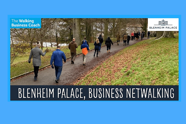 Blenheim palace netwalking poster